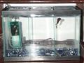 fishtank.jpg